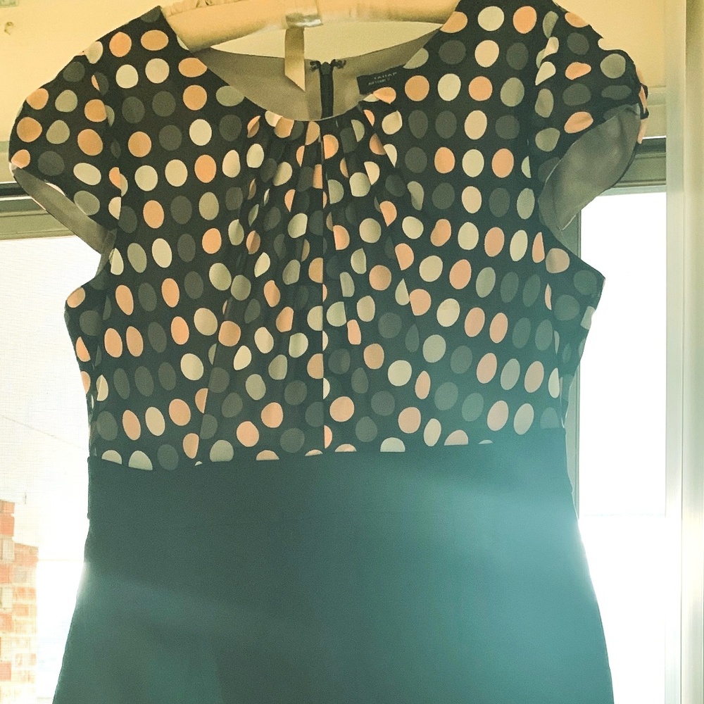 Tahari Arthur S Levine Size 14 Polkadot Dress